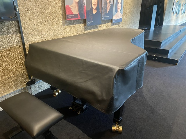 Bild zu Klavierdecken / Flgeldecken